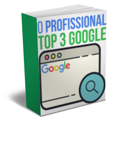 profissional top 3 google plr seo